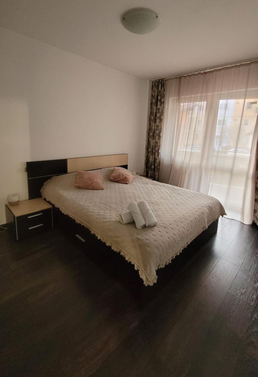 Studio Fortuna Park Сфынту-Георге Экстерьер фото